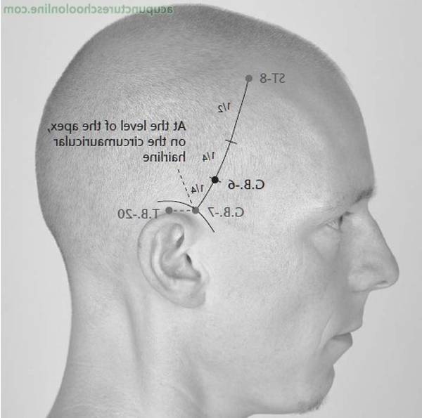 acupuncteur fecamp avis