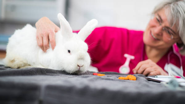 acupuncture fontenay sous bois