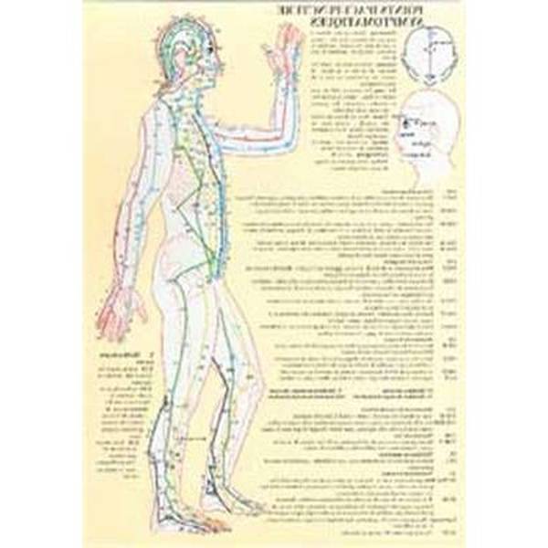 acupuncture digestion