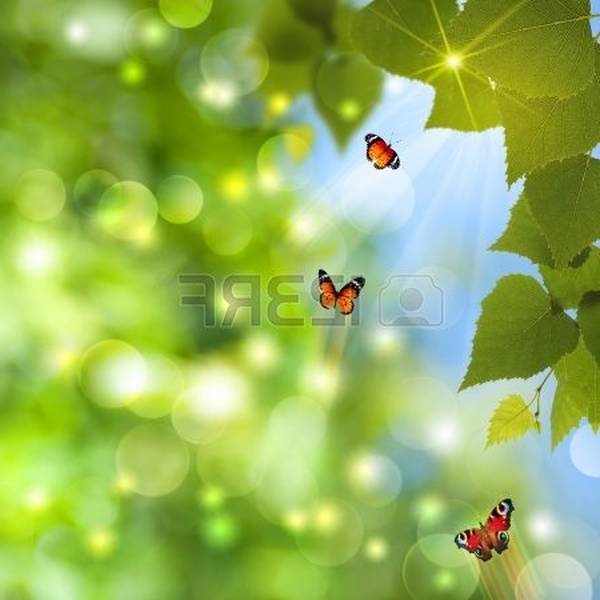 acupuncture kinshasa acupuncture kinshasa