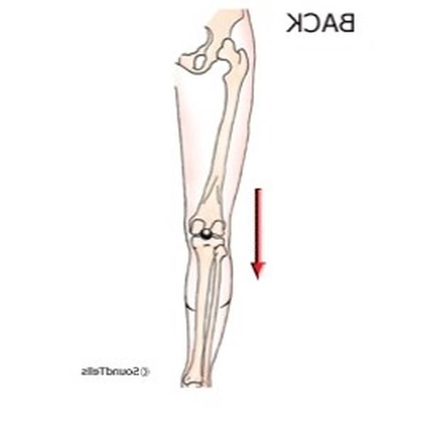 acupuncture ventouse