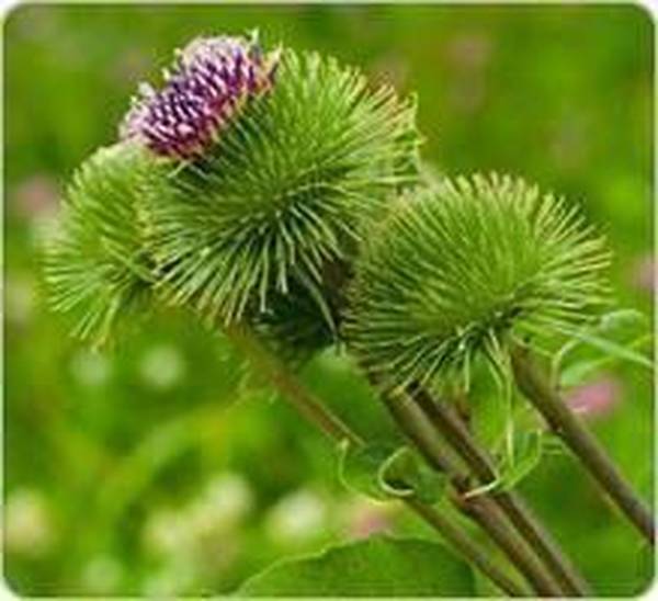 comment ne plus avoir de bouton acné