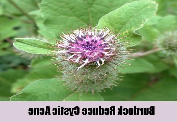 comment faire un masque anti acné comment faire un masque anti acné