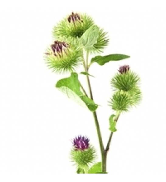 comment avoir une peau parfaite sans acné