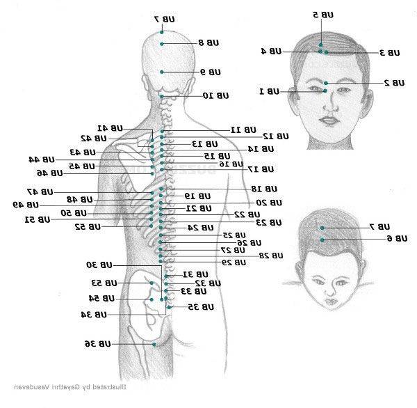acupuncteur dinan avis