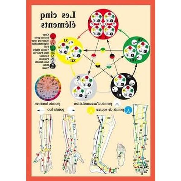 acupuncture les points essentiels