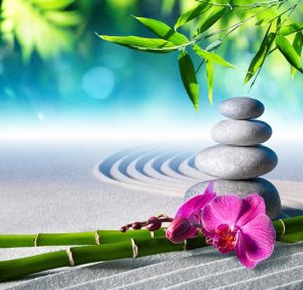 acupuncture les lilas