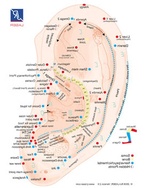acupuncture westmount