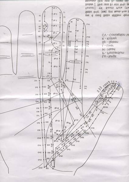 acupuncture japonaise formation
