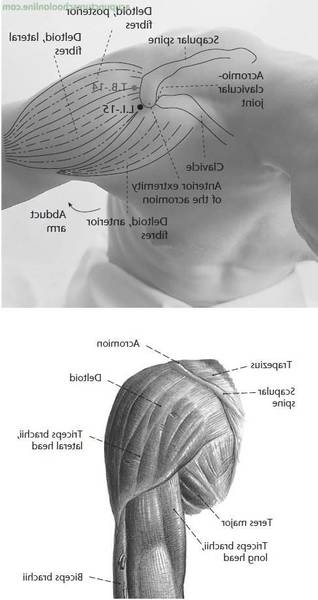 acupuncture japonaise formation