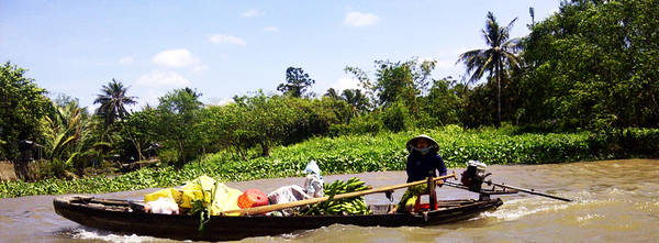 acupuncteur evry avis